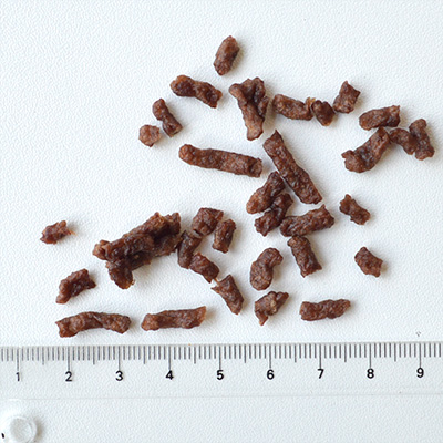 ミニビッツ ポーク