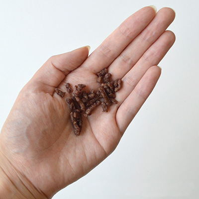 ミニビッツ ポーク