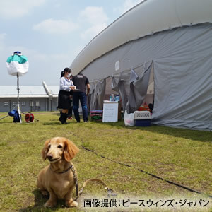 熊本地震　支援金