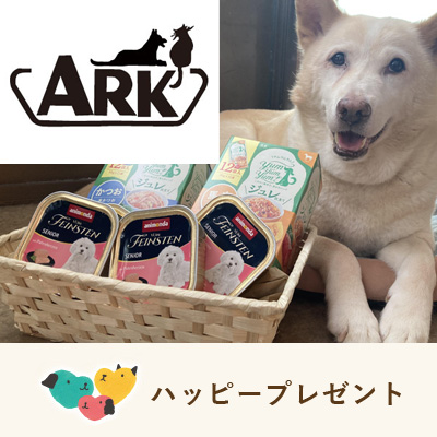 ハッピープレゼント　5団体まとめて