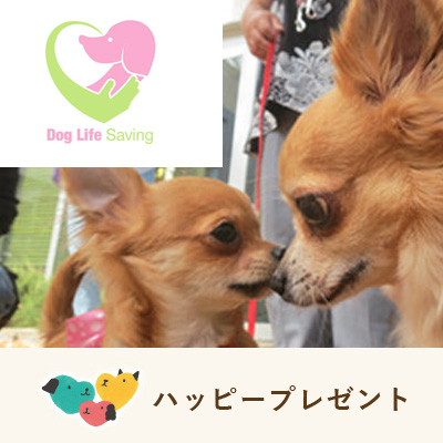 ハッピープレゼント　5団体まとめて