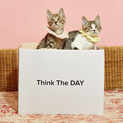 ハッピープレゼント　Mew Me Club