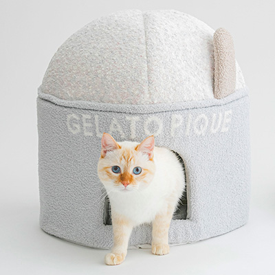gelato pique ベビモコカップアイス型ハウス【数量限定】