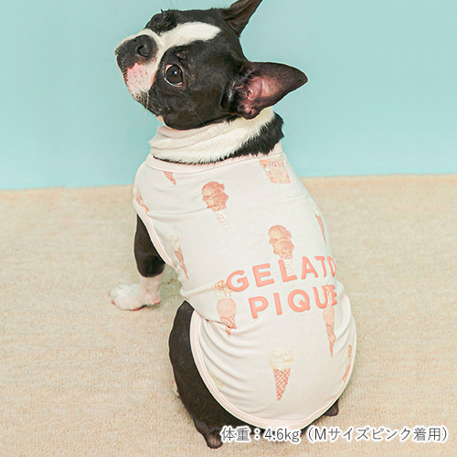 gelato pique　アイス柄COOLウェア【数量限定】