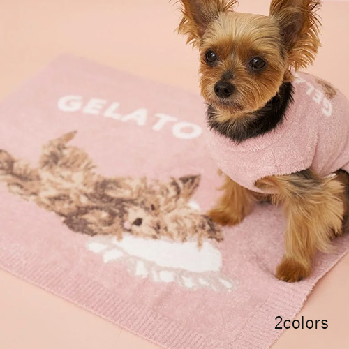 CAT＆DOG スムーズィーヨーキー柄 ブランケット【数量限定】