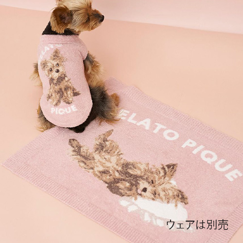 CAT＆DOG スムーズィーヨーキー柄 ブランケット【数量限定】