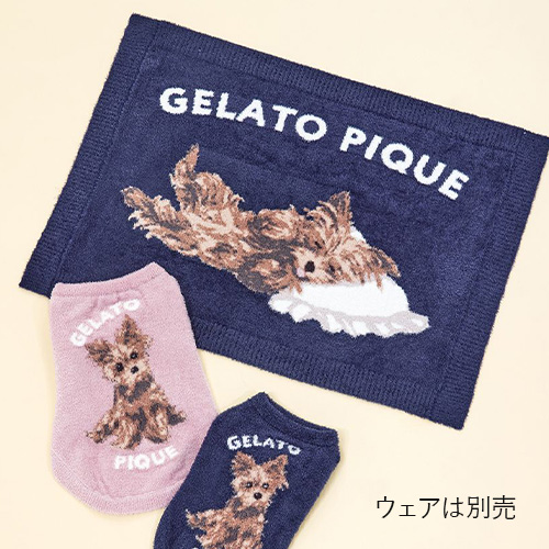 CAT＆DOG スムーズィーヨーキー柄 ブランケット【数量限定】