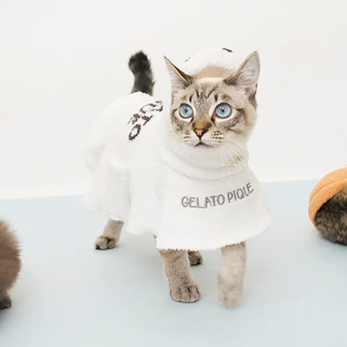 CAT&DOG【HALLOWEEN】おばけケープ【数量限定】