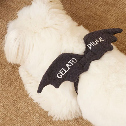 CAT&DOG【HALLOWEEN】こうもりウイング【数量限定】