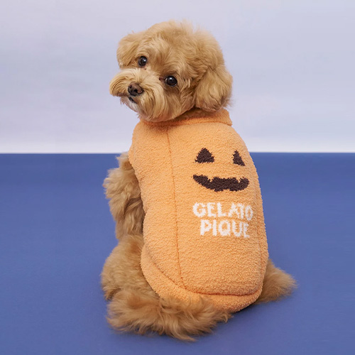 CAT＆DOG【HALLOWEEN】パンプキンプルオーバー【数量限定】