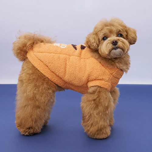 CAT＆DOG【HALLOWEEN】パンプキンプルオーバー【数量限定】