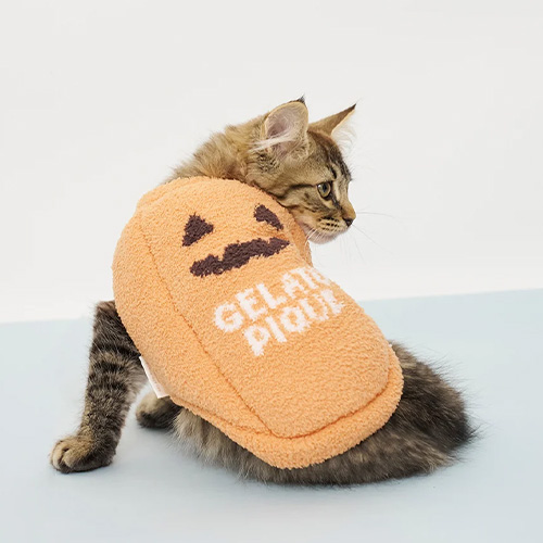 CAT＆DOG【HALLOWEEN】パンプキンプルオーバー【数量限定】