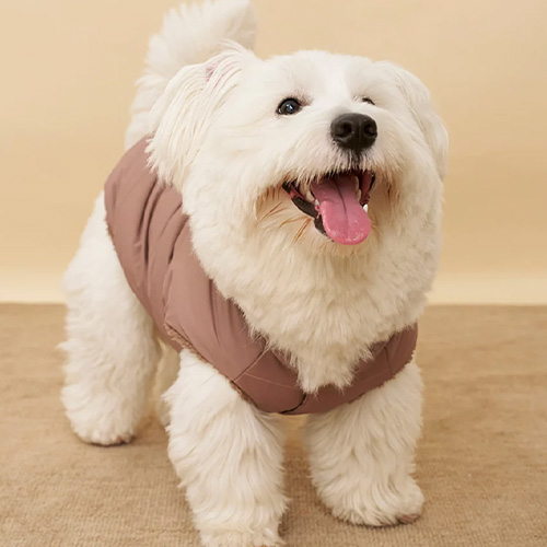 CAT&DOG ラージサイズ中綿ベスト