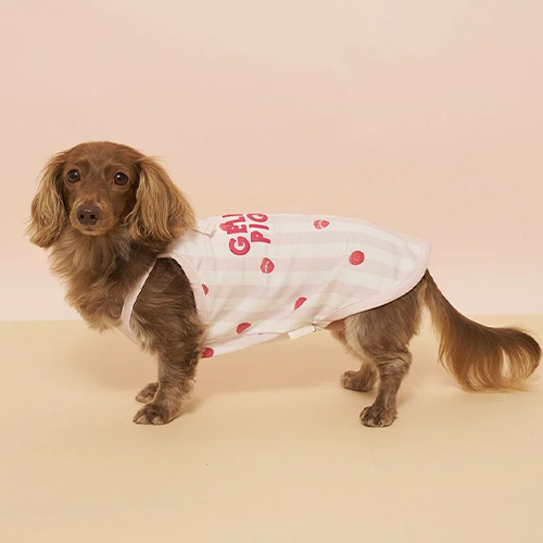 CAT＆DOG ストライプ柄Coolingプルオーバー ダックスサイズ【数量限定】