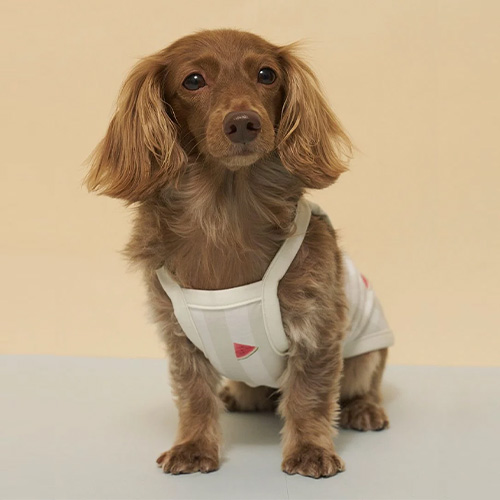 CAT＆DOG ストライプ柄Coolingプルオーバー ダックスサイズ【数量限定】