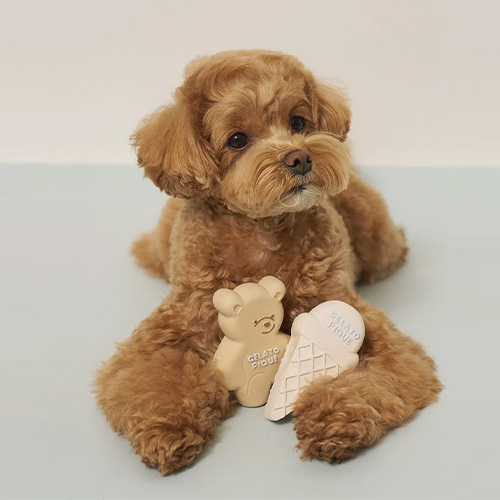 CAT＆DOG アイスクリーム＆ベア ラテックストイセット【数量限定】