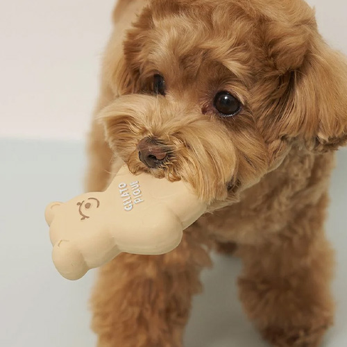 CAT＆DOG アイスクリーム＆ベア ラテックストイセット【数量限定】