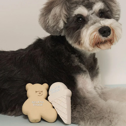 CAT＆DOG アイスクリーム＆ベア ラテックストイセット【数量限定】