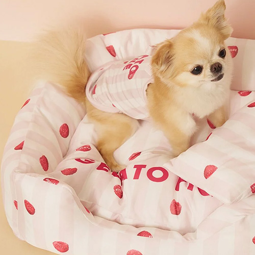 CAT&DOG Coolingベッド【数量限定】
