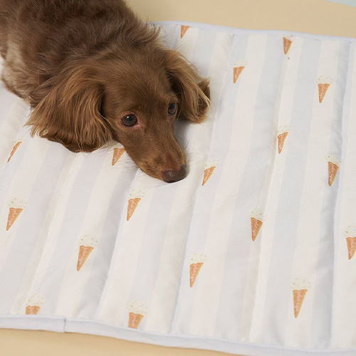 CAT&DOG Coolingマット【数量限定】