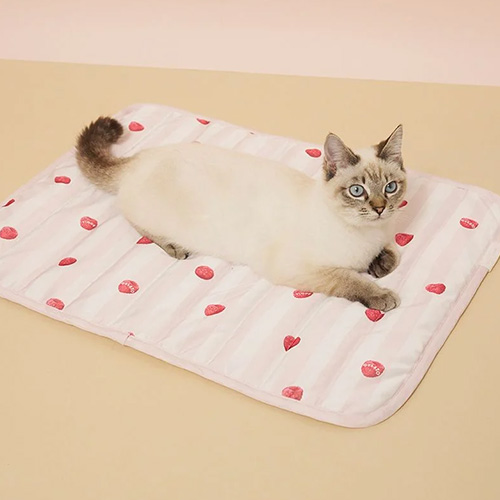 CAT&DOG Coolingマット【数量限定】