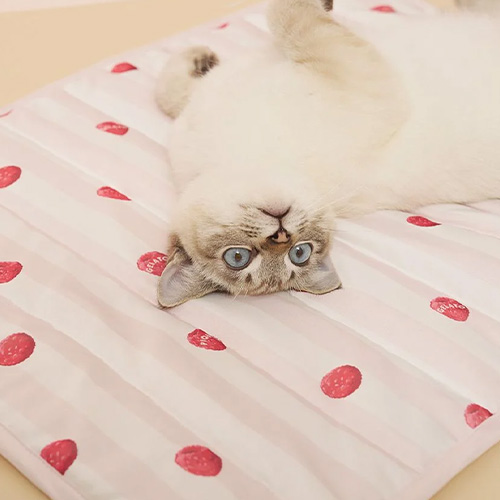 CAT&DOG Coolingマット【数量限定】