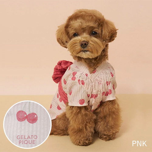 CAT&DOG 浴衣【数量限定】