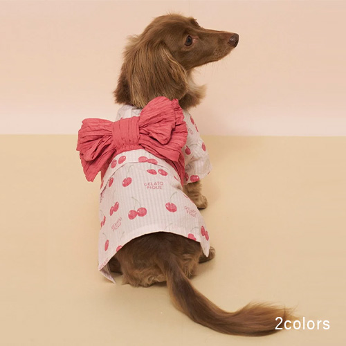 CAT＆DOG 浴衣 ダックスサイズ【数量限定】