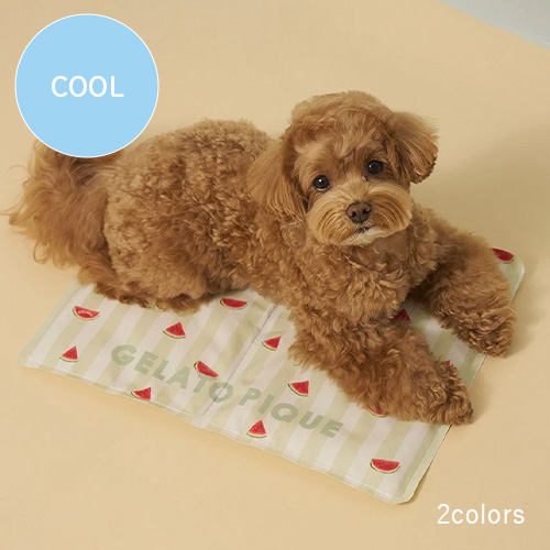 CAT＆DOG　サマーモチーフ柄Coolingジェルマット【数量限定】