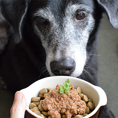 ヘルマン オータム・メニューセット2022【数量限定】