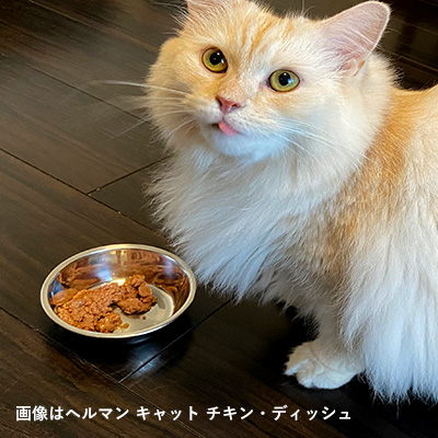 ヘルマン　キャット　ホワイトフィッシュ・ディッシュ