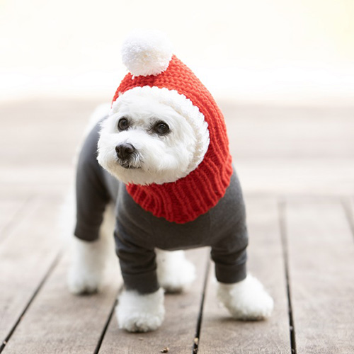 INUTO 犬のクリスマスニット帽2(手編み)【数量限定】