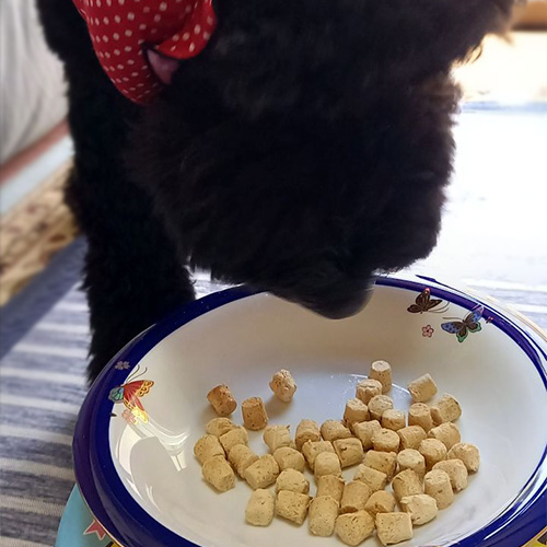 ローロンジェビティ　パピー（子犬チキン）