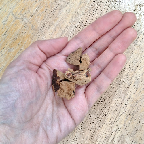 K9ナチュラル　フリーズドライ　ベニソン・レバー トリーツ