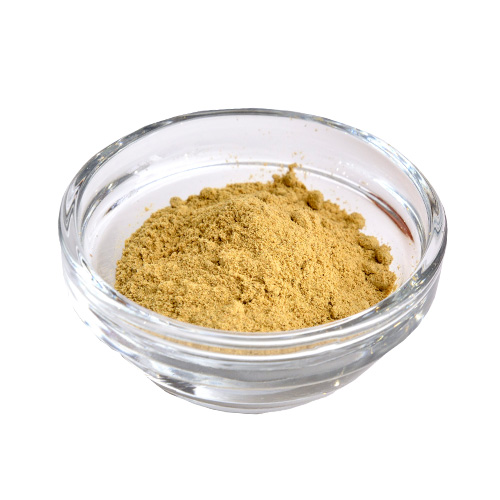 ニュージーランド グリーン・マッスル パウダー