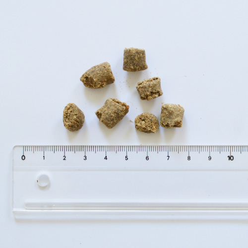 K9 ラム・オーブンベイクド