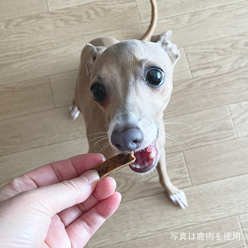 しっとりやわらかジャーキー ハロウィンアソートパック(紫いも・かぼちゃ)【数量限定】