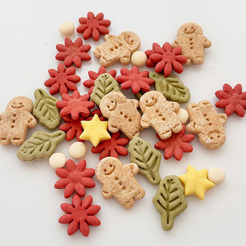 クリスマスビスケット【Christmas memory】【数量限定】
