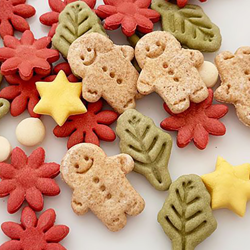 クリスマスビスケット【Christmas memory】【数量限定】