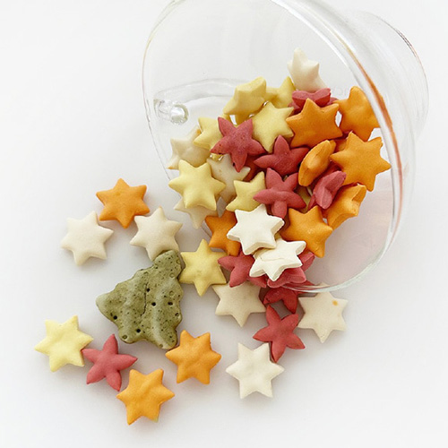 Jingle of stars【数量限定】