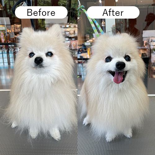 Lumore(ルモア)ORGANIC MOISTURIZE TREATMENT