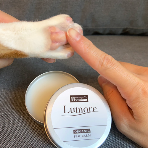 Lumore(ルモア)ORGANIC PAW BALM
