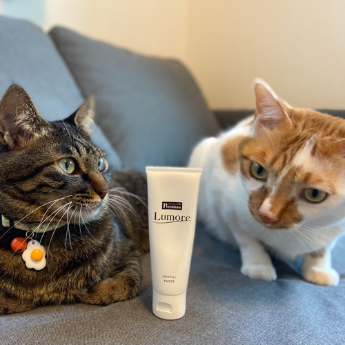 Lumore（ルモア）DENTAL　PASTE