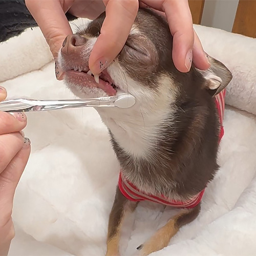 Lumore（ルモア）トータルケアセット【期間限定】