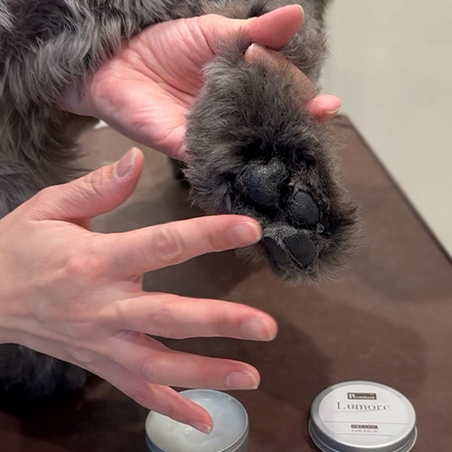 Lumore（ルモア）トータルケアセット【期間限定】