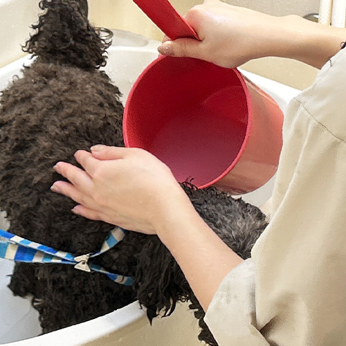 Lumore(ルモア)シャンプーセット【期間限定】