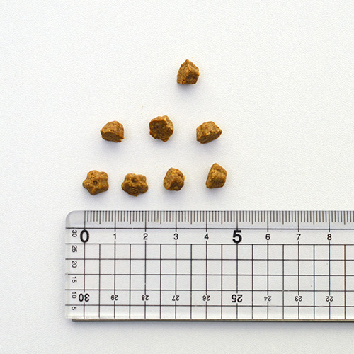 ロータス　キャット　グレインフリー　フィッシュレシピ