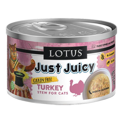 ロータス　キャット　ターキーシチュー