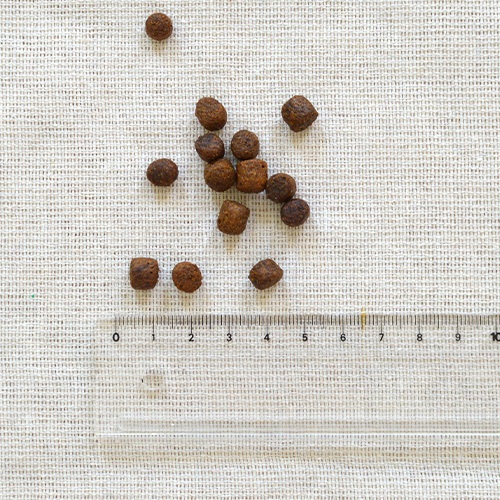 ドッグフード TERA PANDA LUCY PET（ルーシーペット） ベニソンミール＆スウィートポテト