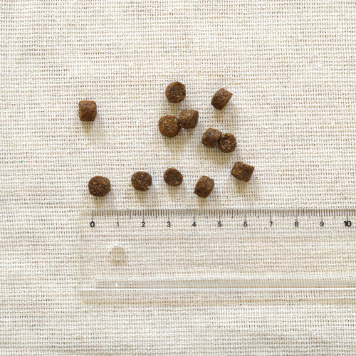 ドッグフード TERA PANDA ルーシーペット スーパーフード ウルトラドッグ普通粒1kg